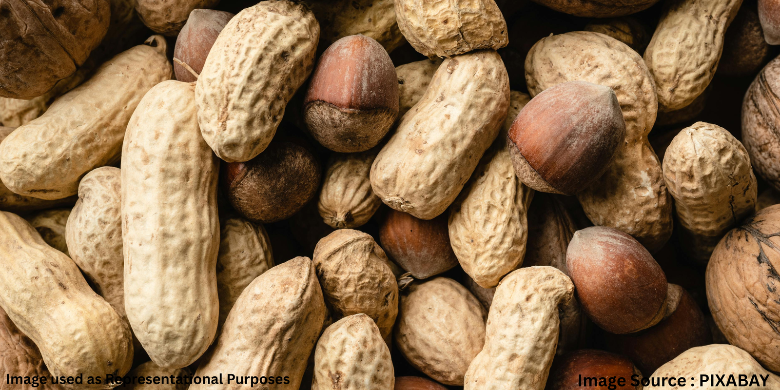 high protein snacks USA